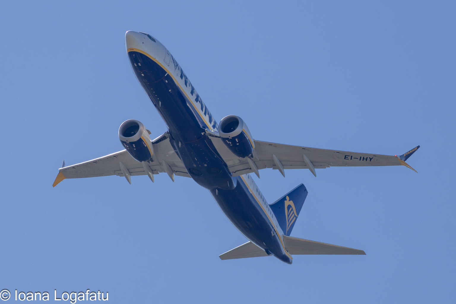 Soaring over the city skyline